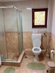 a bathroom with a shower and a toilet and a window at Cozy 2 bedroom apartment in Sarajevo +8 photos