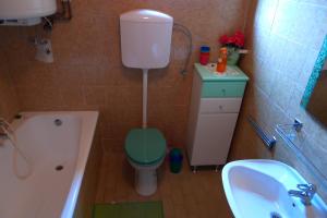 La salle de bains est pourvue de toilettes vertes et d'un lavabo. dans l'établissement Apartments Rosemary, à Lucija