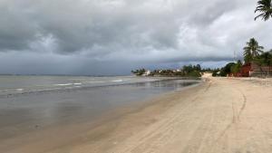 a sandy beach with palm trees and the ocean at Porto Mirim House in Ceará-Mirim
