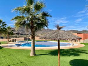 un palmier à côté d'une piscine avec un parasol en paille dans l'établissement CASA MiJa, à San Juan de los Terreros