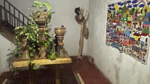 モンポスにあるIncreible Casa en Mompox con piscinaのギャラリーの写真