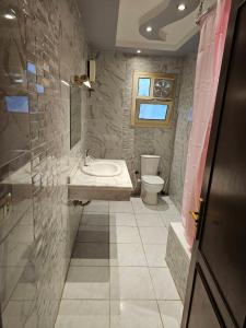 a bathroom with a sink and a toilet at cute apartment in Cairo