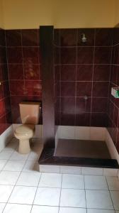 a bathroom with a toilet and a shower stall at Ayu Taman Sari in Candidasa