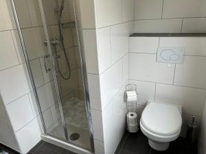 a bathroom with a shower and a toilet at Greenview Apartment Trier - 3 beds 2 bedrooms in Trier +18 photos