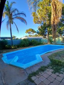 a blue swimming pool with palm trees in the background at Renovated 3BD with pool and spa bath in Port Pirie