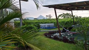 a garden with a hammock and a view of a mountain at Arenal Nephelium Country Home, Refugio rural con piscina, jacuzzi y balcón con hermosas vistas al Volcán Arenal, en una finca privada in Fortuna