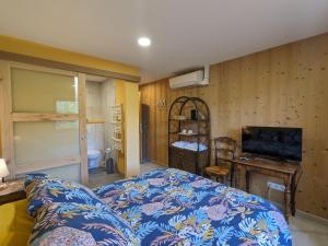 a bedroom with a bed and a television in it at Chambre climatisée avec salle d'eau privative et accès jardin - FR-1-589-664 in Rehaupal