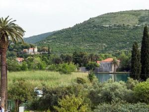 a palm tree next to a lake and a mountain at Villa Roza - Studio Apartment with Balcony in Mokošica