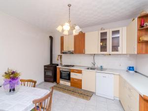 Кухня или мини-кухня в Apartments Ra ica Molunat - One Bedroom Apartment
