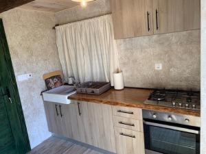 a kitchen with a counter with a sink and a stove at Holiday Home Anka in Gospić
