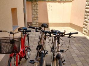 Jízda na kole v ubytování Apartments Vala - Superior Studio Apartment A6 nebo okolí