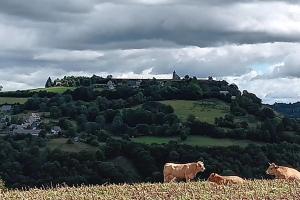 Galeriebild der Unterkunft Gîte pour 6 pers avec jardin clos proche Aurillac in Vezels-Roussy