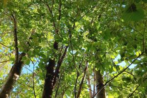 Galeriebild der Unterkunft Gîte pour 6 pers avec jardin clos proche Aurillac in Vezels-Roussy + 8 Fotos