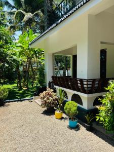 Zahrada ubytování Villa Lemon