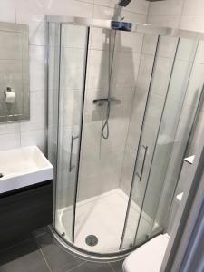 a shower with a glass door in a bathroom at 14 Helena House One Bedroom Apartment in Reading