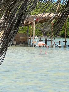 Afbeelding uit fotogalerij van Villa Lulu in Chicxulub +46 foto's