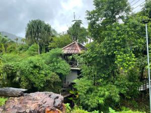 a small house in the middle of a forest at KhaoSok Farmstay in Khao Sok National Park +19 photos