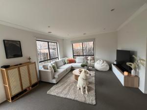 a living room with a dog standing on a rug at The Lakes Homestead - Shared House in Mill Park