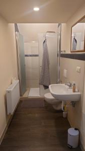 a bathroom with a sink and a toilet and a shower at Apartment 5 Zum Kuhstall Heinrichsberg - Magdeburg in Niegripp
