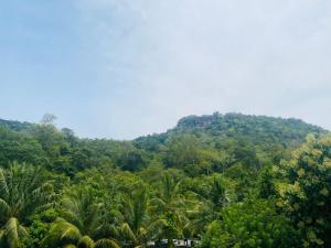 a mountain in the middle of a forest with palm trees at City Life Hotel and Restaurant in Buttala +22 photos