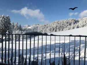 a bird is flying over a snow covered fence at Apartment Stillleben Luxus für die Seele in Abtenau