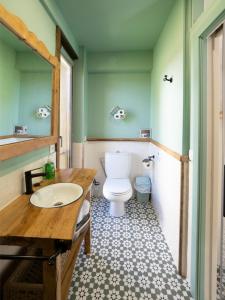 a bathroom with a white toilet and a sink at Cabaña del Molinero in Palas de Rei