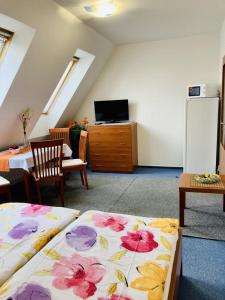 Televiisor ja/või meelelahutuskeskus majutusasutuses Apartmány, Penzion, Wellness U zlaté rybky
