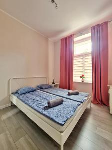 Zdjęcie z galerii obiektu Apartament przy Zamku - darmowy parking w Toruniu