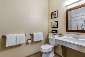a bathroom with a white toilet and a sink at Comfort Suites San Antonio Airport North in San Antonio