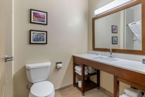 a bathroom with a toilet and a sink with a mirror at Comfort Suites San Antonio Airport North in San Antonio +25 photos