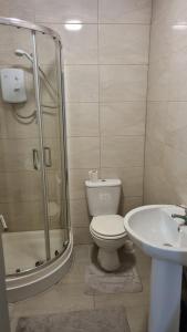 a bathroom with a shower and a toilet and a sink at Apartment 3 in Leicester