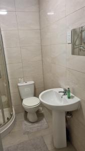 a bathroom with a toilet and a sink at Apartment 3 in Leicester