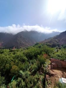 Paesaggio naturale nelle vicinanze dell'affittacamere