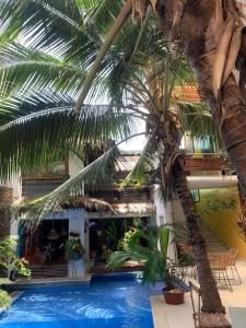 Πισίνα στο ή κοντά στο Ecologe