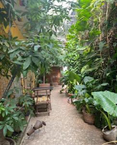 Κήπος έξω από το Ecologe +39 φωτογραφίες