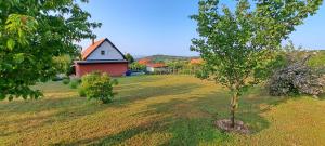 a tree in the middle of a yard with a house at Shining Home in Felsőörs