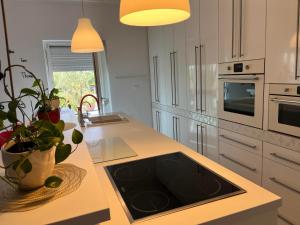 a kitchen with a sink and a counter top at Shining Home in Felsőörs