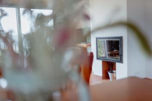 TV a/nebo společenská místnost v ubytování El Portal de la Irene Apartamentos Rurales