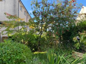 Zahrada ubytování Caledonia House