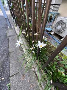 Zahrada ubytování 東京芳华驿站