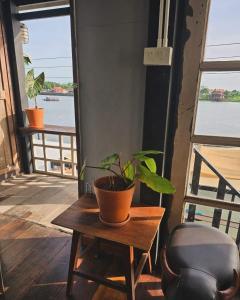 a plant sitting on a table next to a chair at เฉื่อย โฮมสเตย์ in Nonthaburi +4 photos