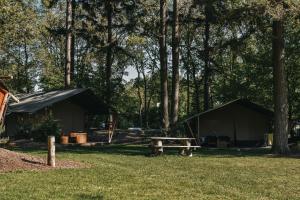 a campsite with two tents and a picnic table at Camping Het Horstmannsbos in Gasselte