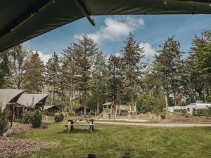 a picnic table in a yard with a park at Camping Het Horstmannsbos in Gasselte