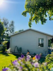 O grădină în afara Lavender Lodge