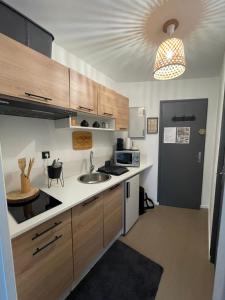 una piccola cucina con lavello e microonde di Villard-de-lans studio au pied des pistes pour 4 pers a Villard-de-Lans