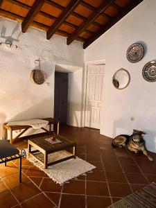 Φωτογραφία από το άλμπουμ του Casa Nidra σε Jimena de la Frontera +40 φωτογραφίες