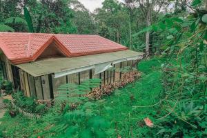 un edificio con tetto rosso in una foresta di TwinkleVille Christmas-Themed Cottage a Kayagan Altre 18 foto