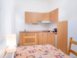 Kuchyň nebo kuchyňský kout v ubytování Hostel BOHEMIA