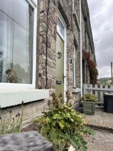 a cat sitting in the window of a brick house at 4 - Walkers Cottage - Scandinavian BBQ hut -Open fire in Pont Sticill