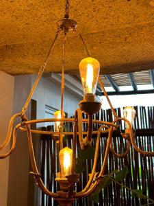 Gallery image of Marmulata House in Cartagena de Indias +291 photos